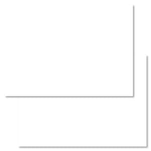 Snel bestellen - 3000 flashcards volledig blanco