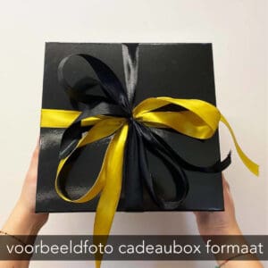 Cadeaubox giftbox formaat voorbeeld bovenaanzicht
