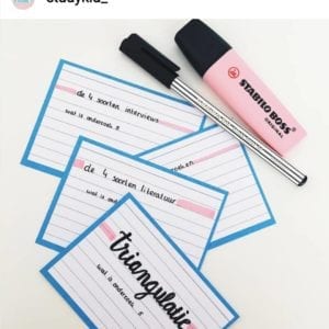 Blauwe flashcards Triangulatie - Roze Stabilo Boss Pastel - fanmail