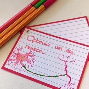Flashcard opbouw van een neuron