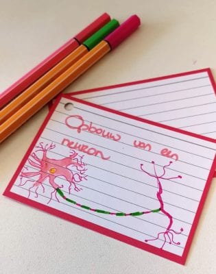 Flashcard opbouw van een neuron