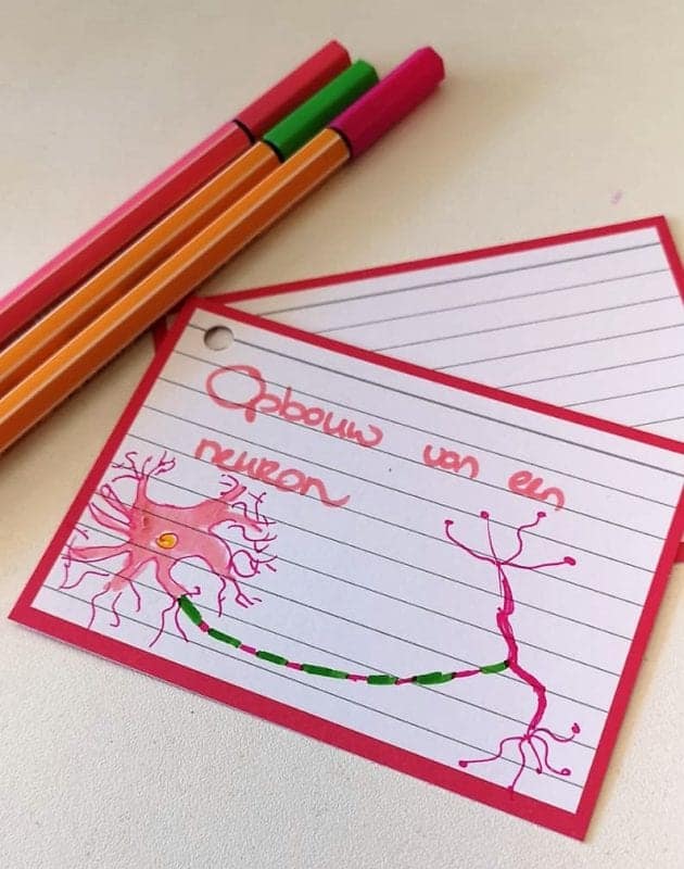 Flashcard opbouw van een neuron